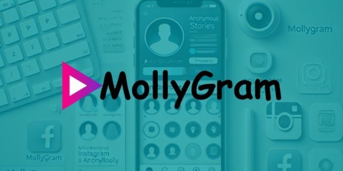 MollyGram Anonymous Instagram Story Viewer MollyGram Anonymous Instagram Story Viewer